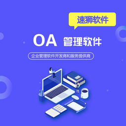 北京定制OA办公系统推荐速狮软件,全程贴心无忧服务